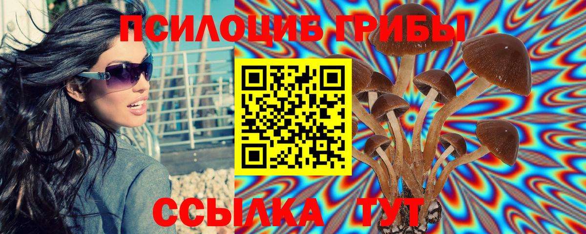 Галлюциногенные грибы мицелий  Вход с VPN  Белгород  Галлюциногенные грибы Magic Shrooms 