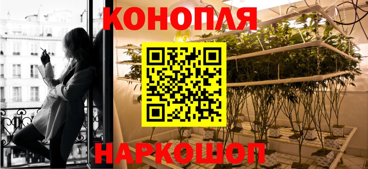 Канабис сатива Белгород
